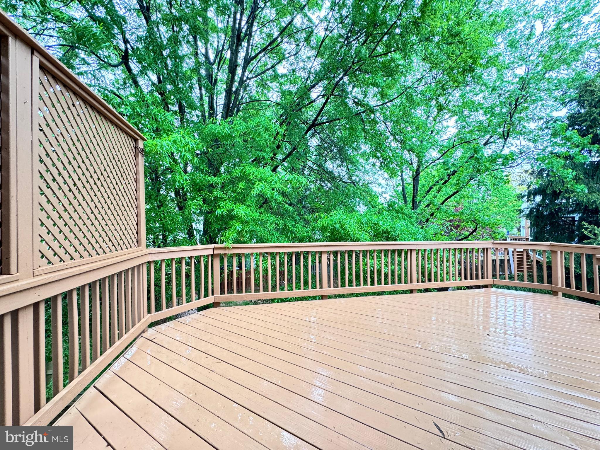 CASCADES - Residential Lease