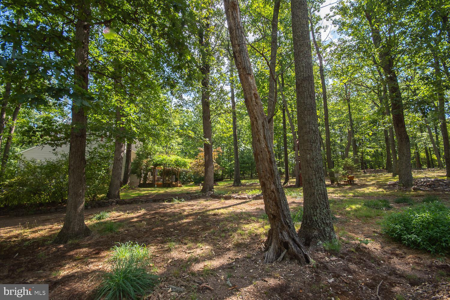 BRANDON HILLS - Residential