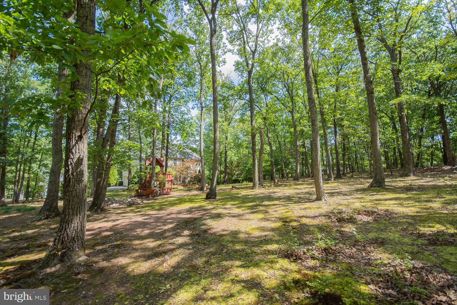 BRANDON HILLS - Residential