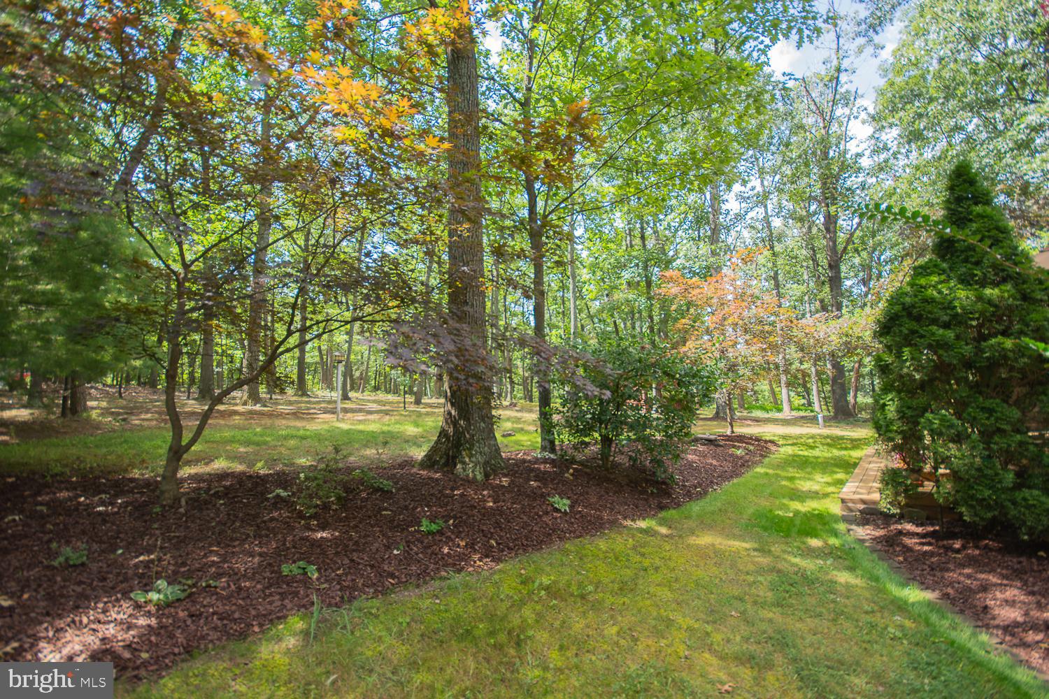 BRANDON HILLS - Residential