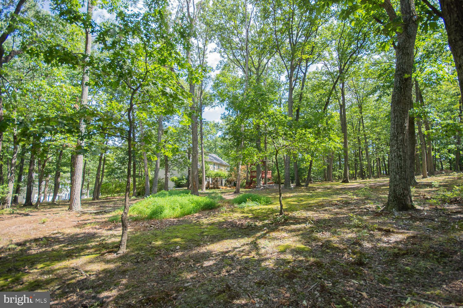 BRANDON HILLS - Residential