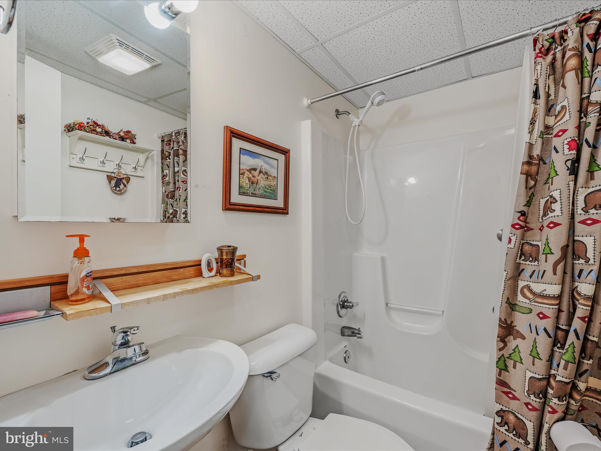 CACAPON SOUTH - Residential