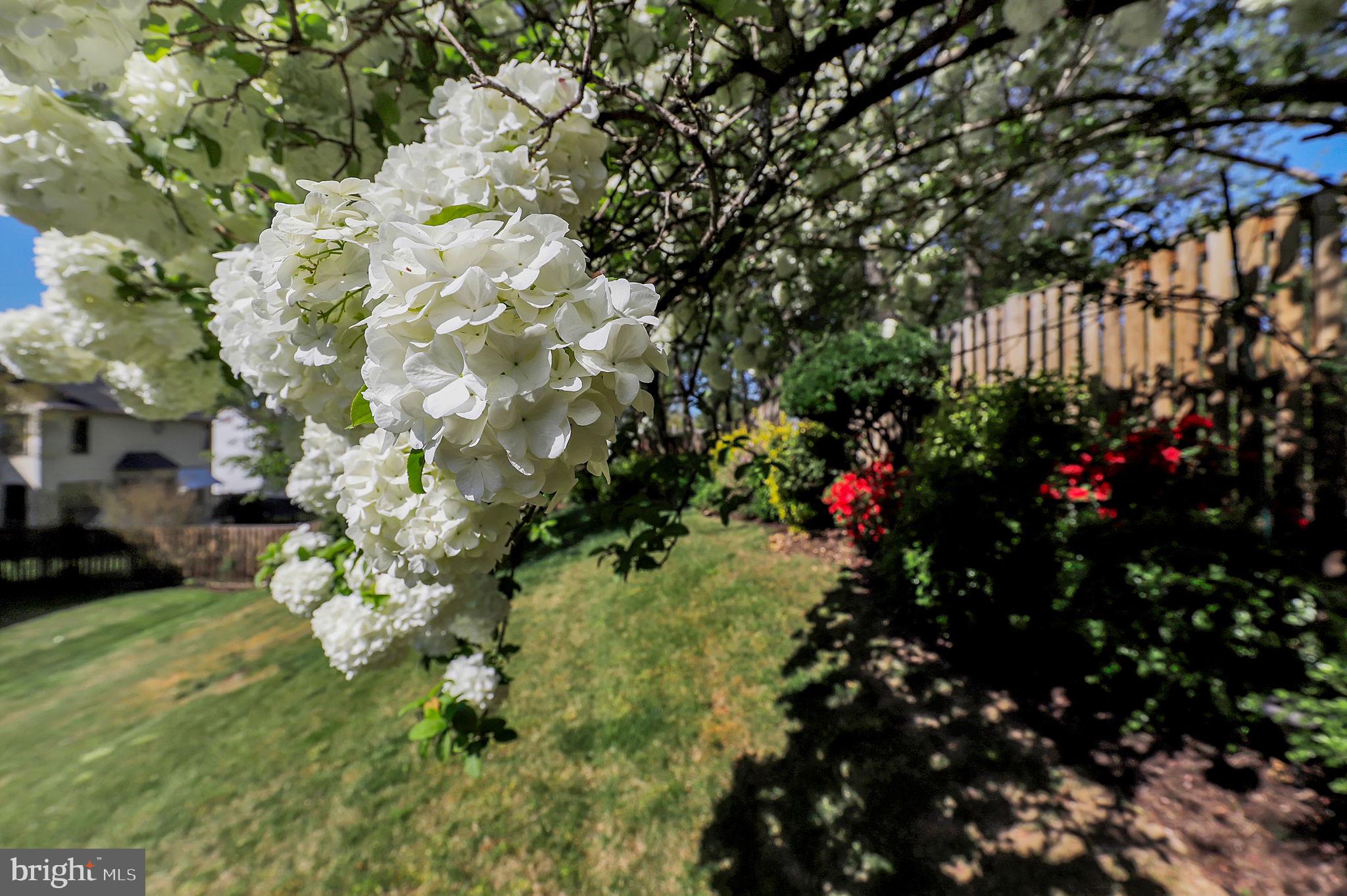 CHERRYVALE - Residential