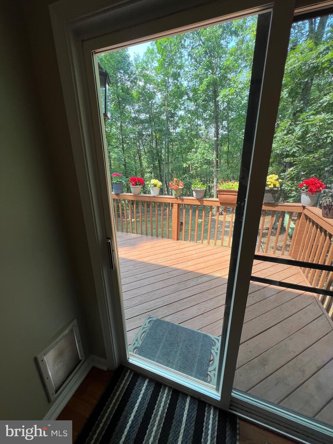 GLENMONT VILLAGE - Residential