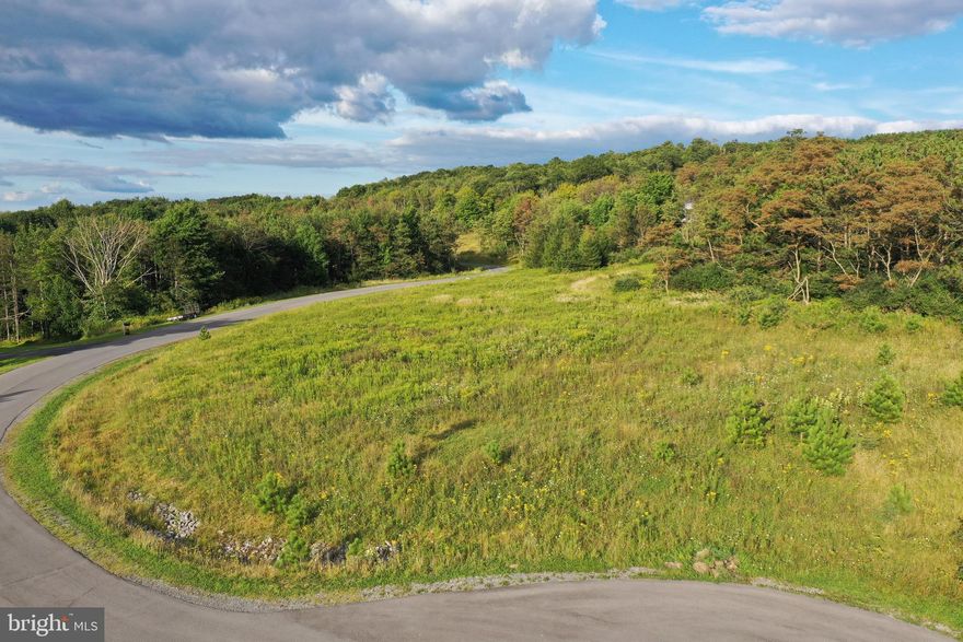 Build your dream home in the Summit of Harwood subdivision, surrounded by incredible views and abundant wildlife. Enjoy a quiet, private setting while only being minutes from Frostburg, LaVale, and Cumberland. Easy access to I-68 & Route 40. Property is Lot #11 is located on a cul-de-sac.