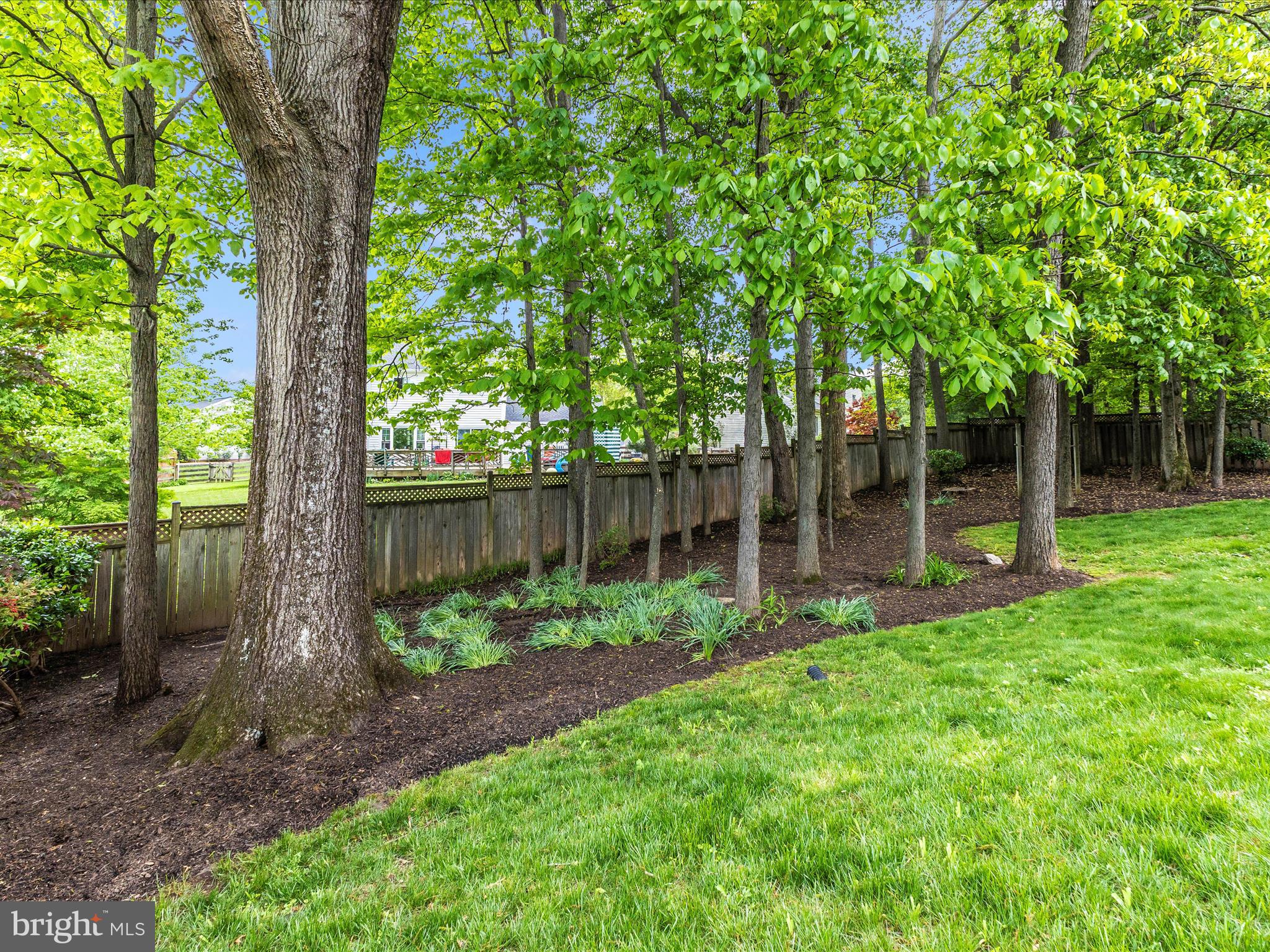 OLNEY MILL - Residential