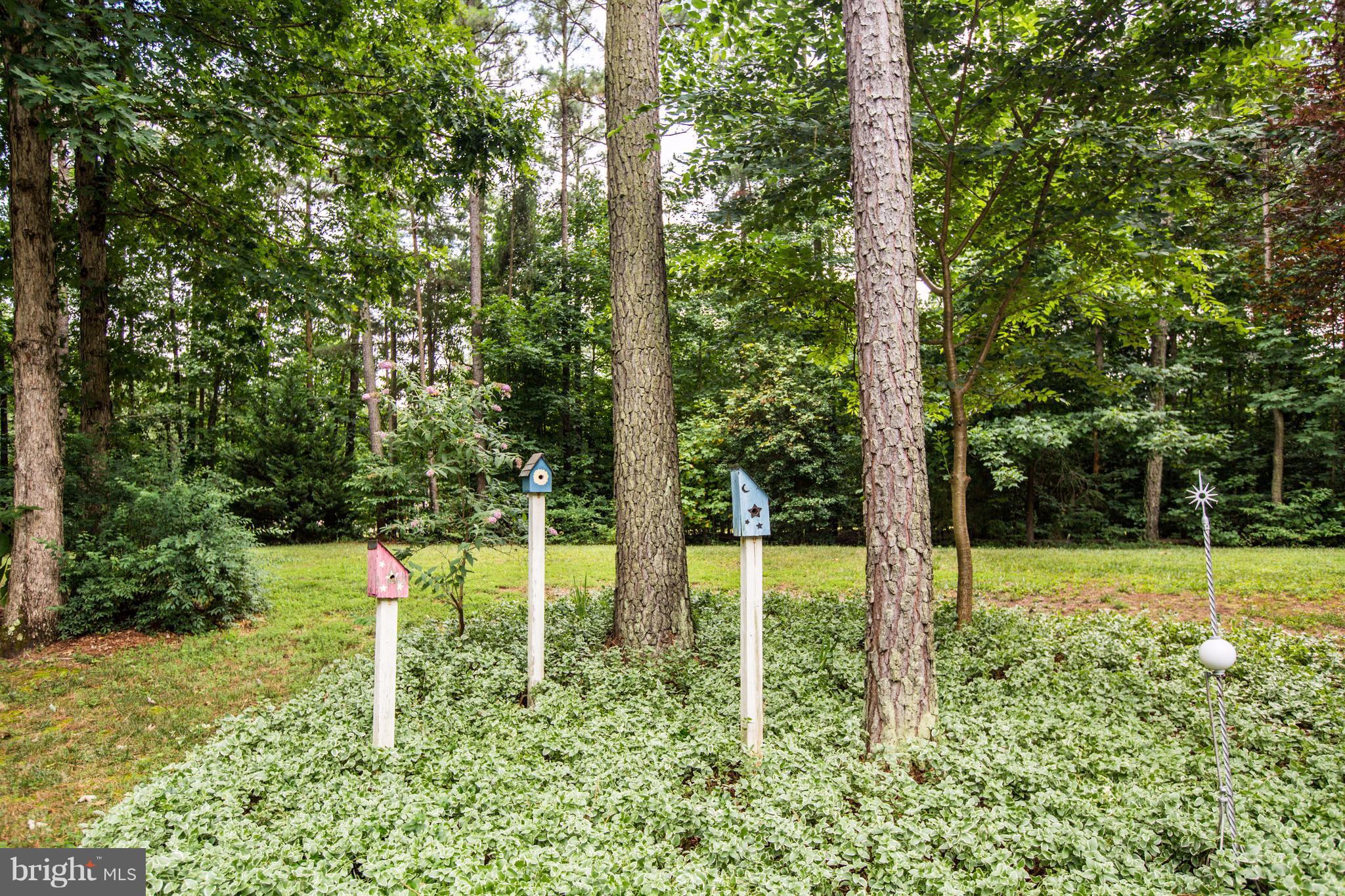 SOUTH WOODS - Residential