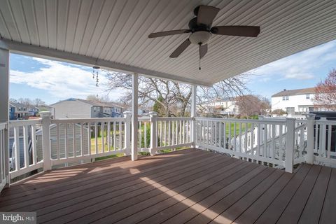listing image 28