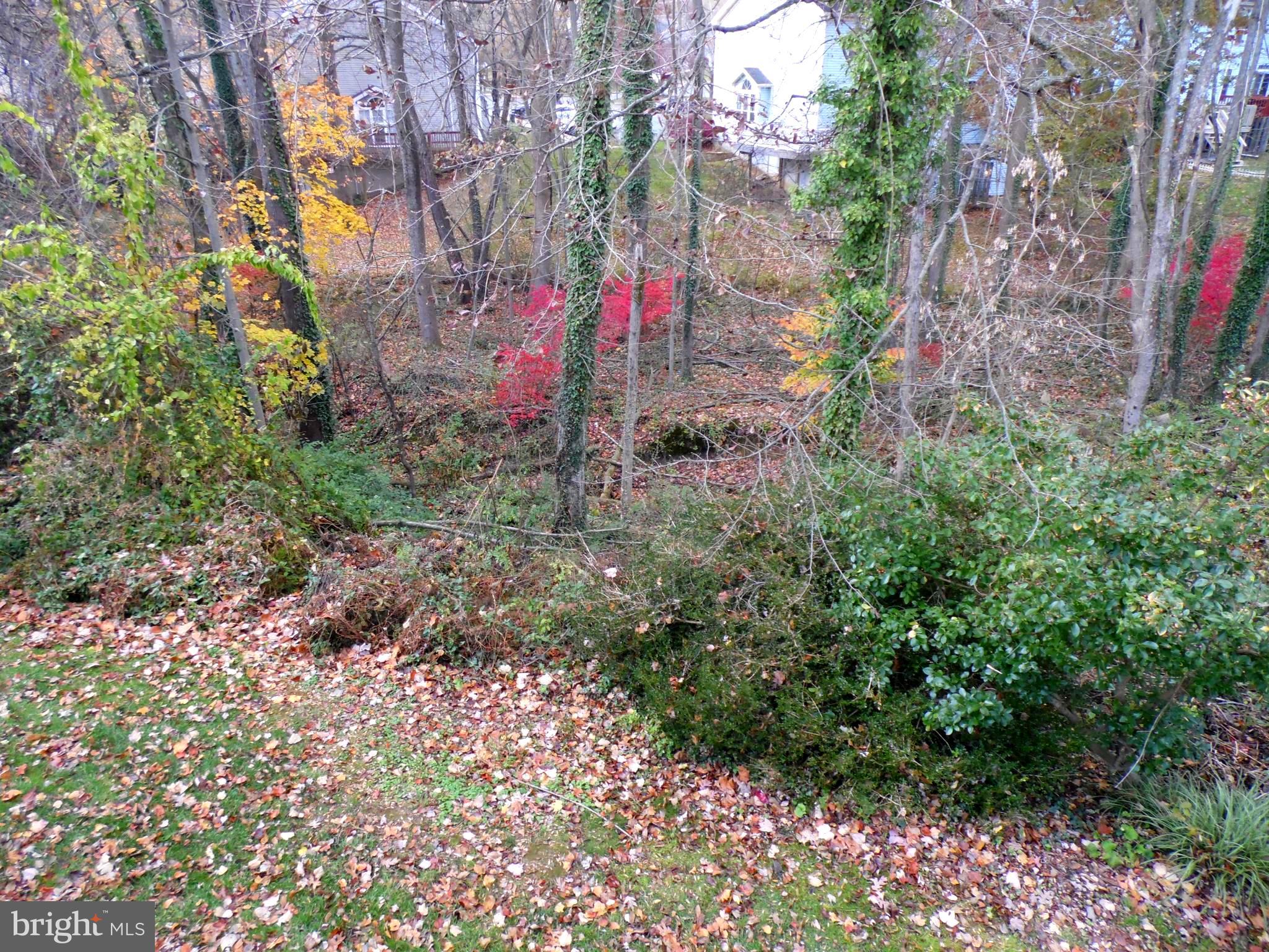 WHITE OAK - Residential