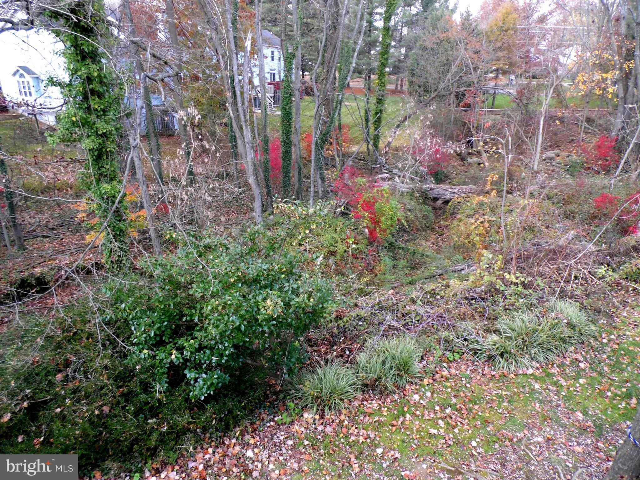 WHITE OAK - Residential