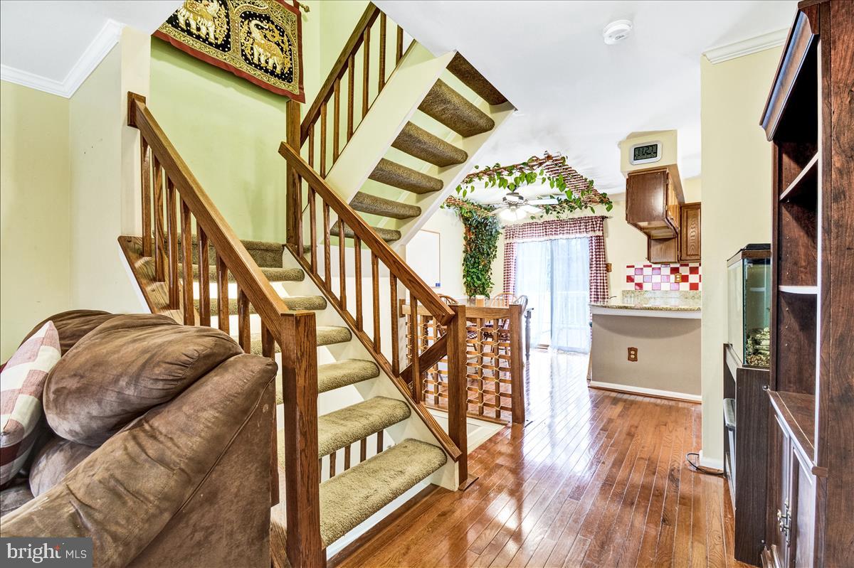 WHITE OAK - Residential