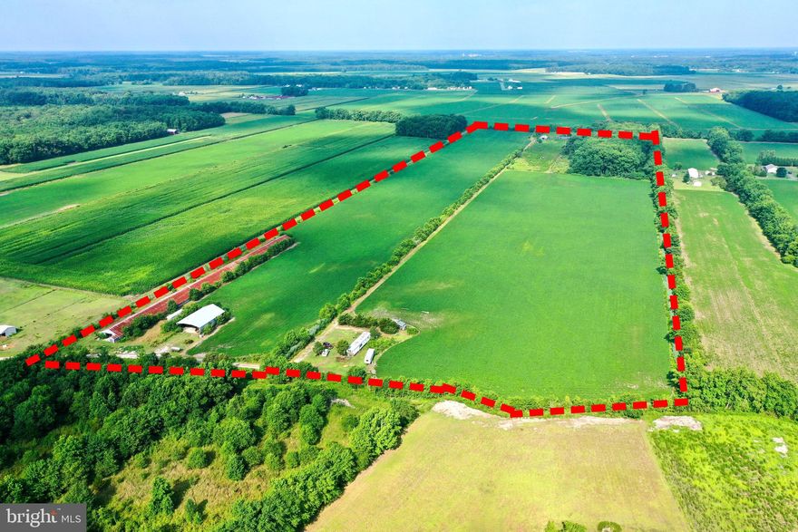 A RARE FIND! PERFECT DEVELOPMENT POTENTIAL! PRIME Real Estate in Eastern Sussex County just minutes to the DE Beaches and resort areas of the Atlantic Ocean. It is literally less than 8 miles to walk on the beach. Currently zoned AR1. This farm would be perfect for the Developer, Equestrian and/or Land Lover. Are you a Venture Capitalist looking to secure an amazing investment opportunity to grow his/her portfolio? This is your chance to own and control a massive piece of land in an area bursting with new development and growth both in residential and commercial. The natural landscape will make for an amazing new home subdivision with easy access to both Rt 113 and Rt 1 corridors. Location is as it feels-rural- but, yet convenient enough to be minutes from a myriad of restaurants, employment, and big box stores. It is also located less than 2 miles from the new Beebe Hospital South Coastal Campus. What a great selling feature for a new home community that healthcare is literally 5 minutes away! Existing trailer and a few older buildings are included with the sale. Ability to tap into a local water source is a possibility. There is also potential to be annexed to a near by small town for access to existing water/sewer which would increase density options for development. Don’t miss your chance to own this beautiful farm. A famous man once said-“The best investment on earth, is earth.” -Louis Glickman. Get yours now!