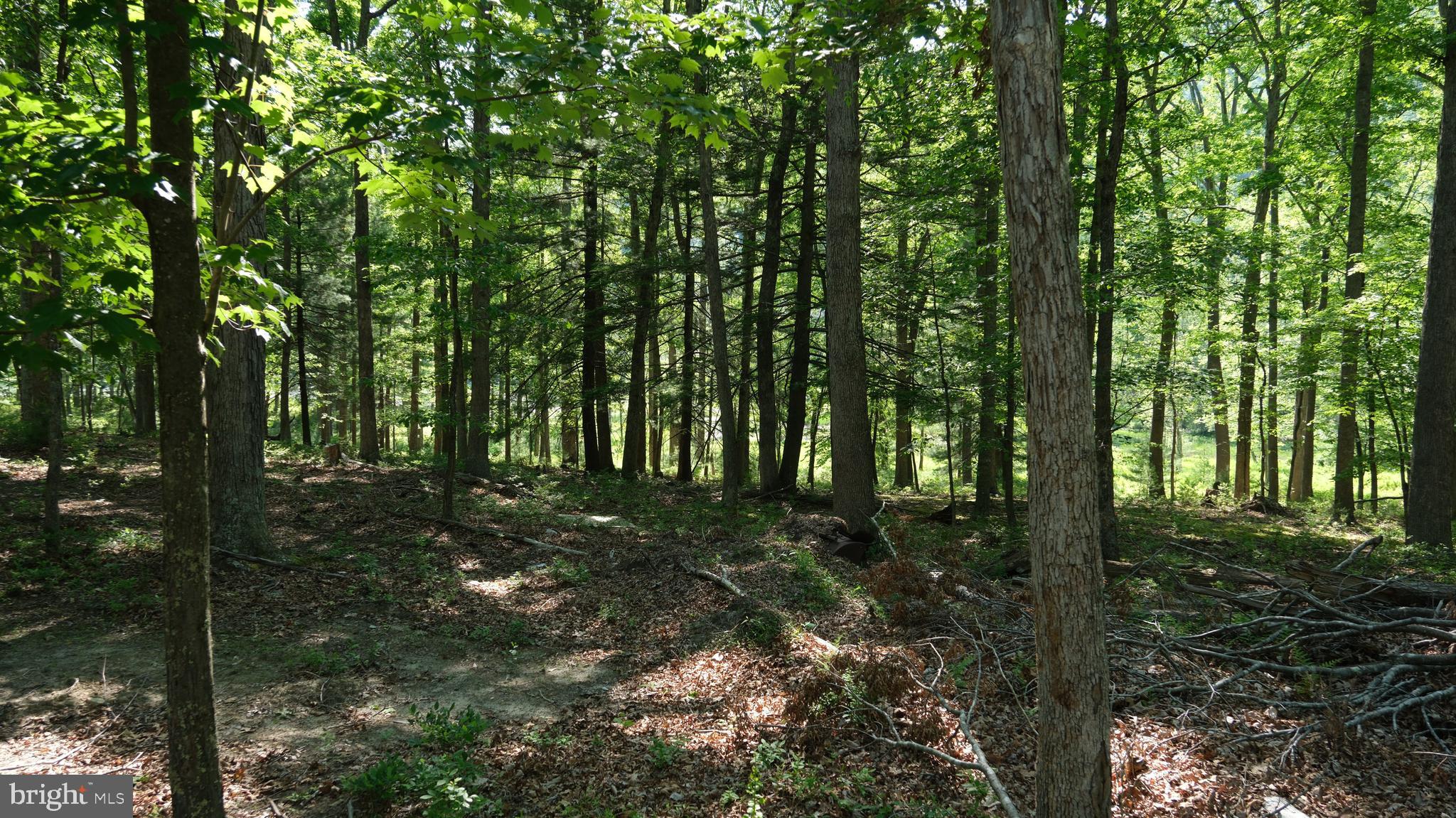 WARDEN LAKE - Residential