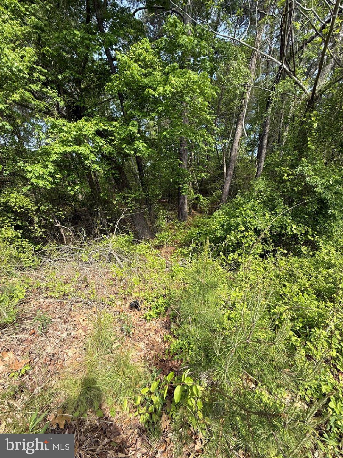 Lot 80 DOGGETT LANE