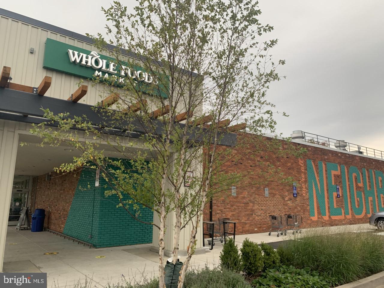 CARDINAL FOREST - Residential