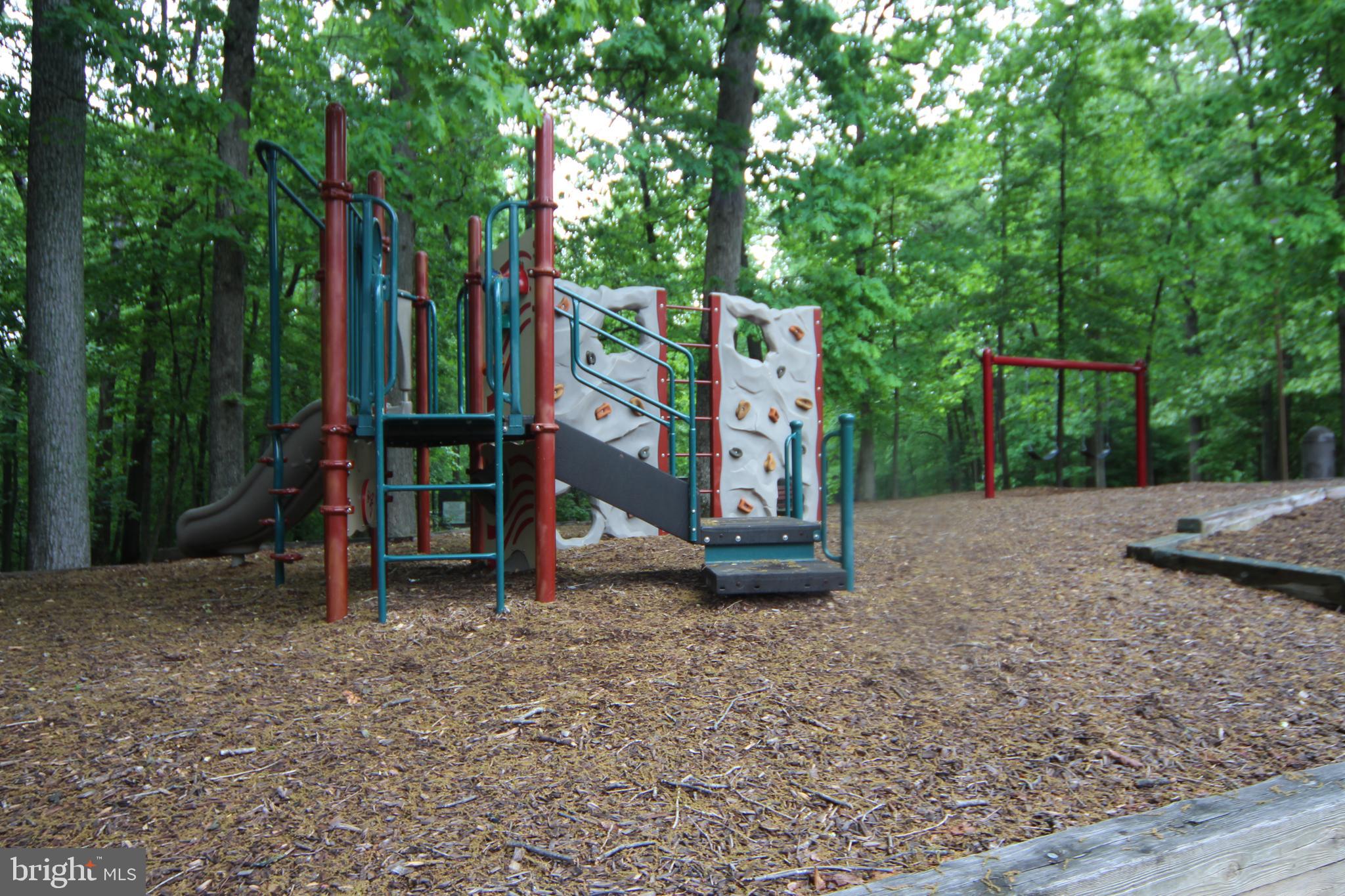 CARDINAL FOREST - Residential