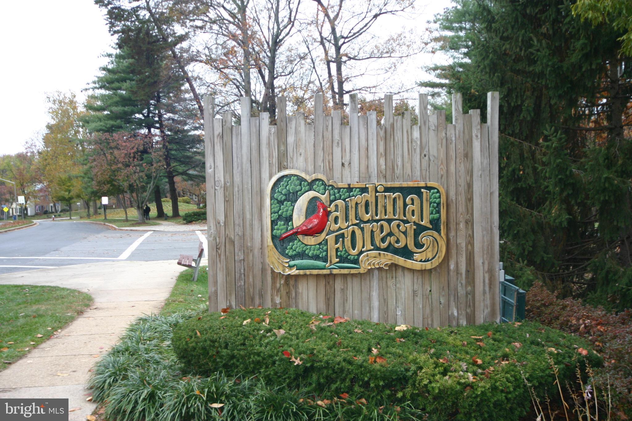 CARDINAL FOREST - Residential