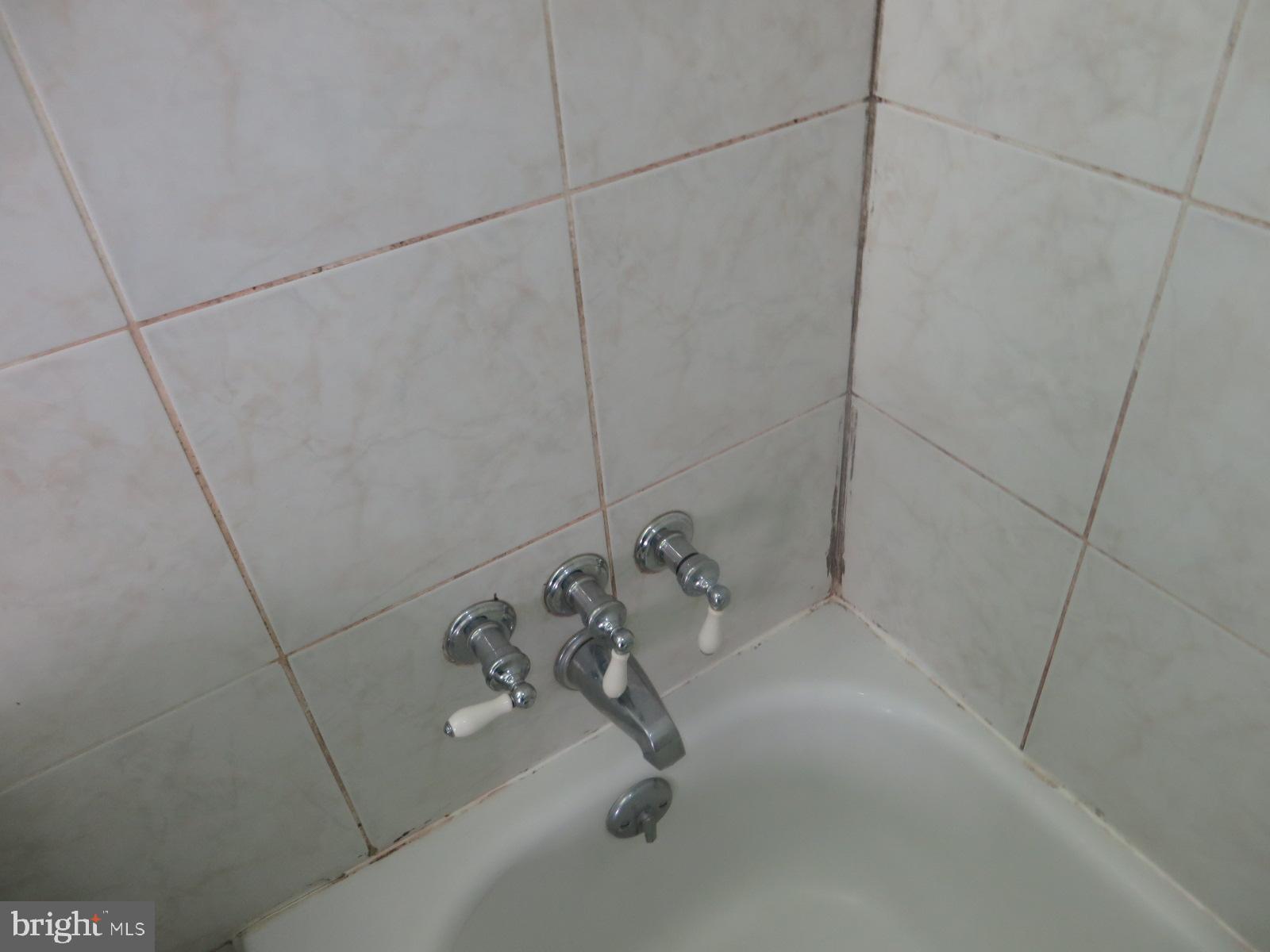 BEDFORD TOWNE CONDO - Residential