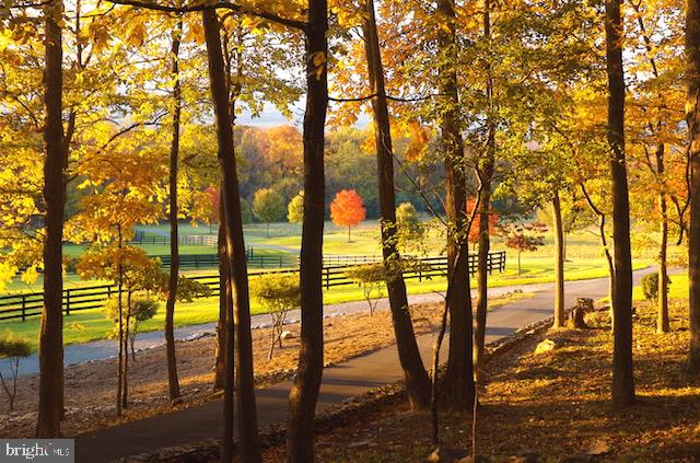 WILCOX - Residential