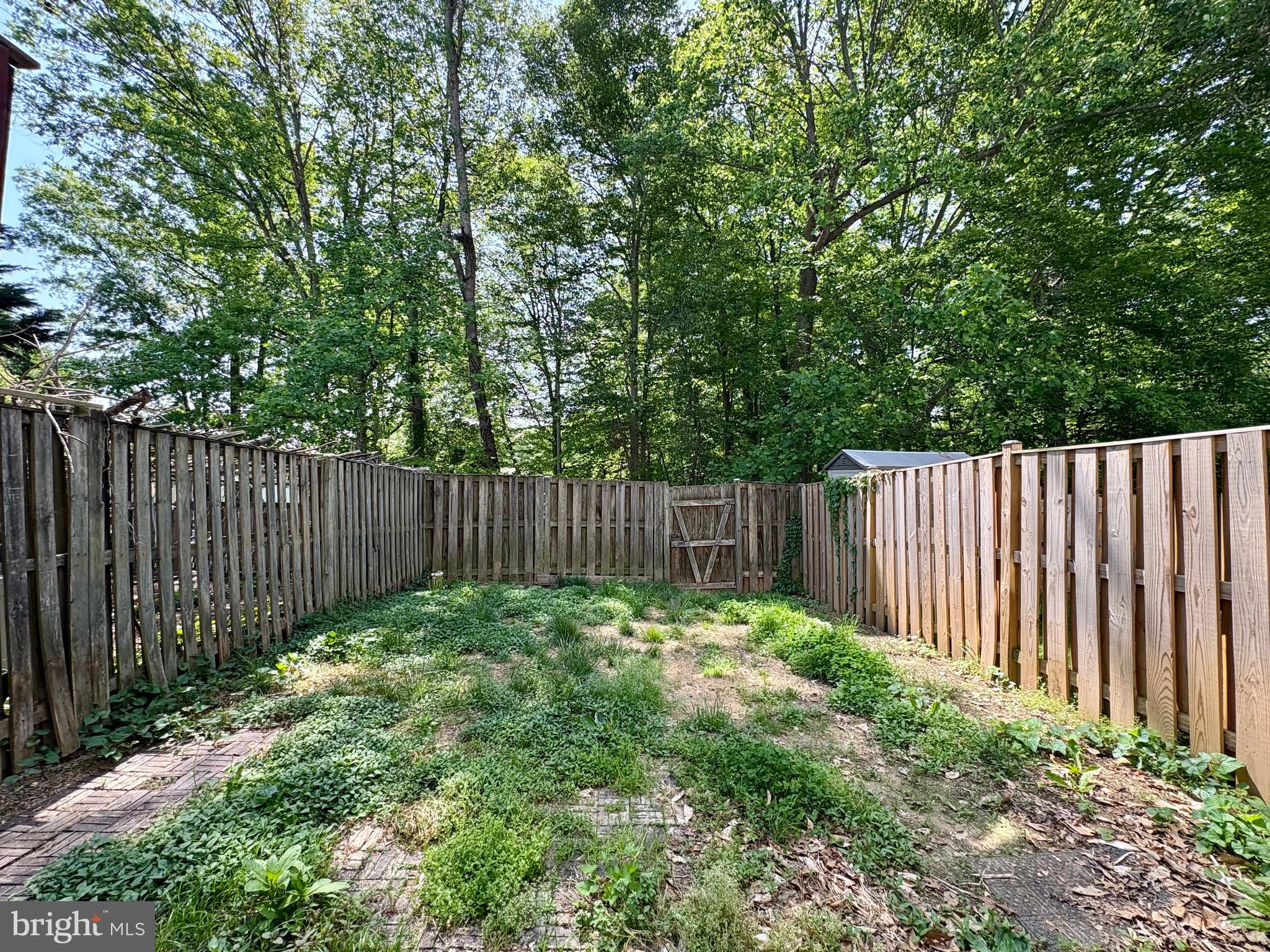 NEWINGTON FOREST - Residential Lease