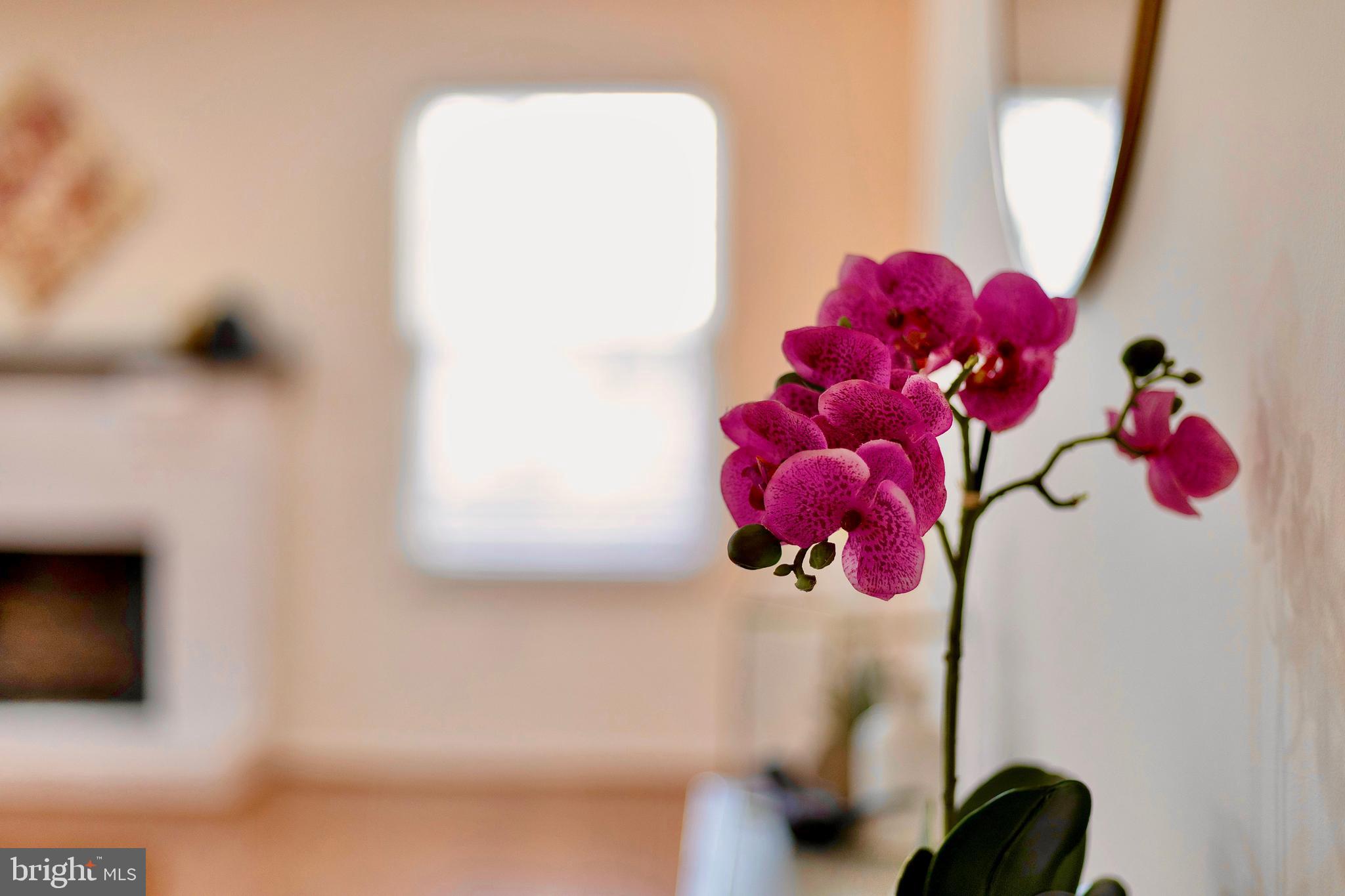 PARKRIDGE - Residential