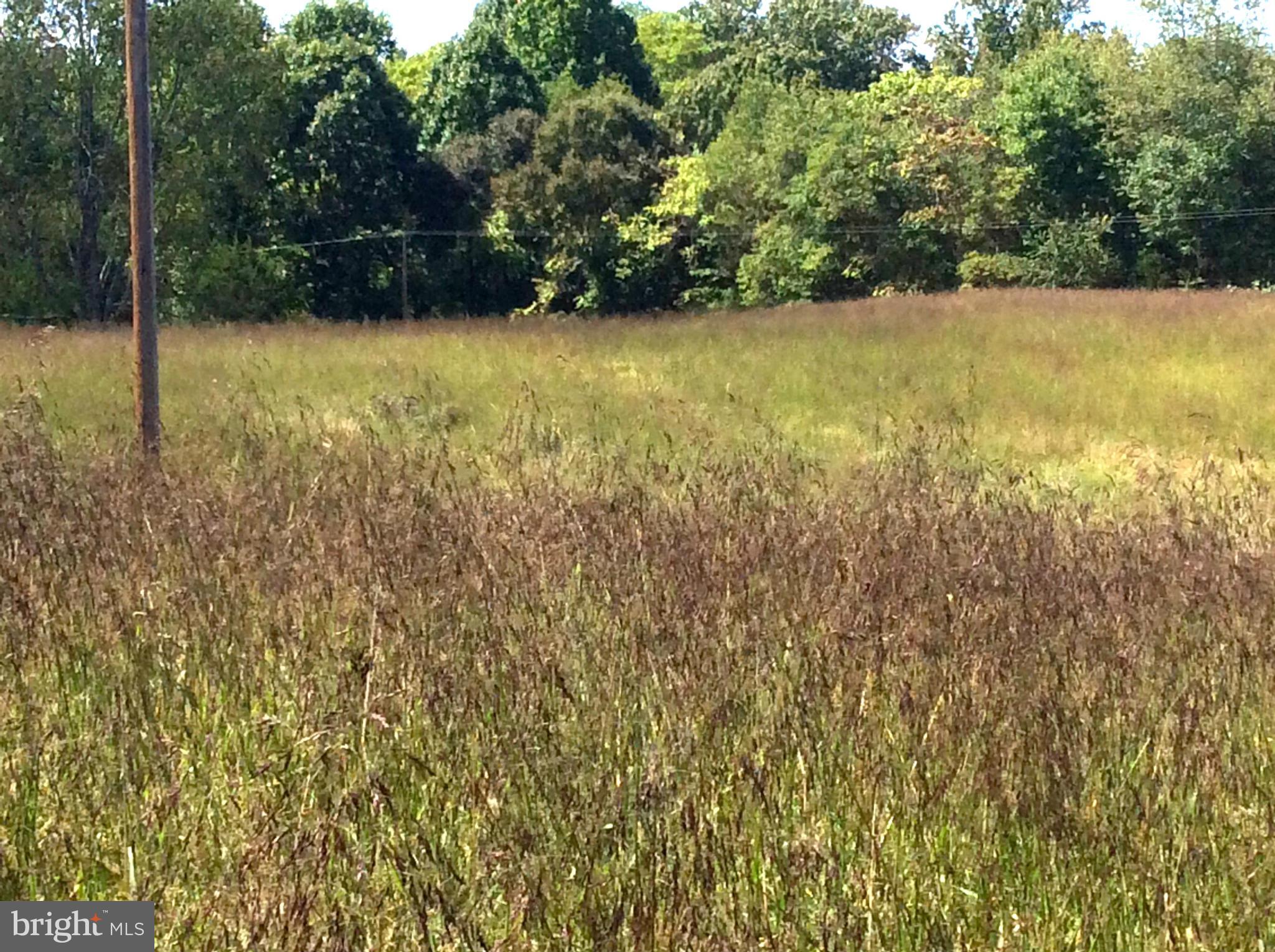 NONE AVAILABLE - Farm