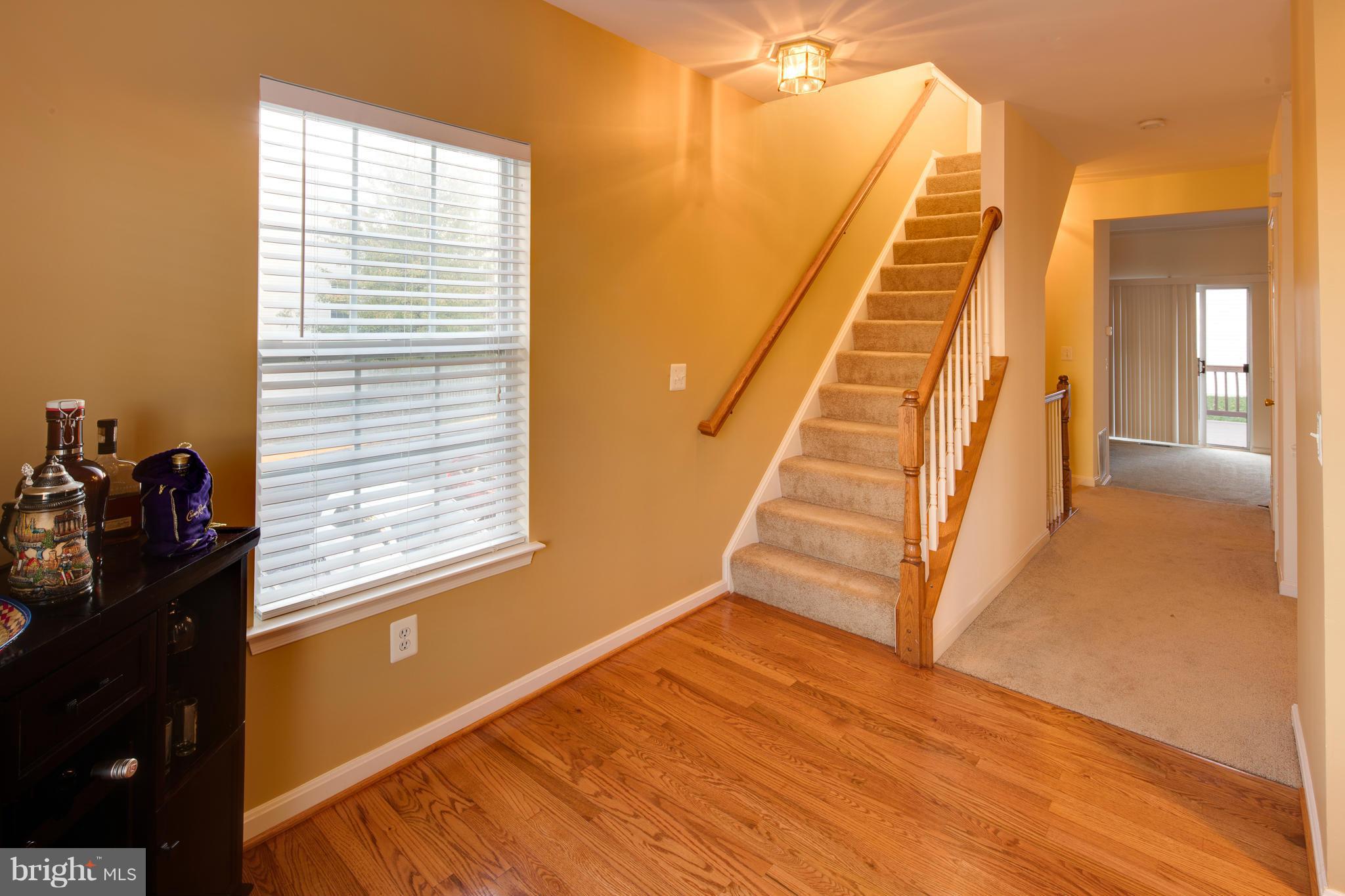 POTOMAC STATION - Residential