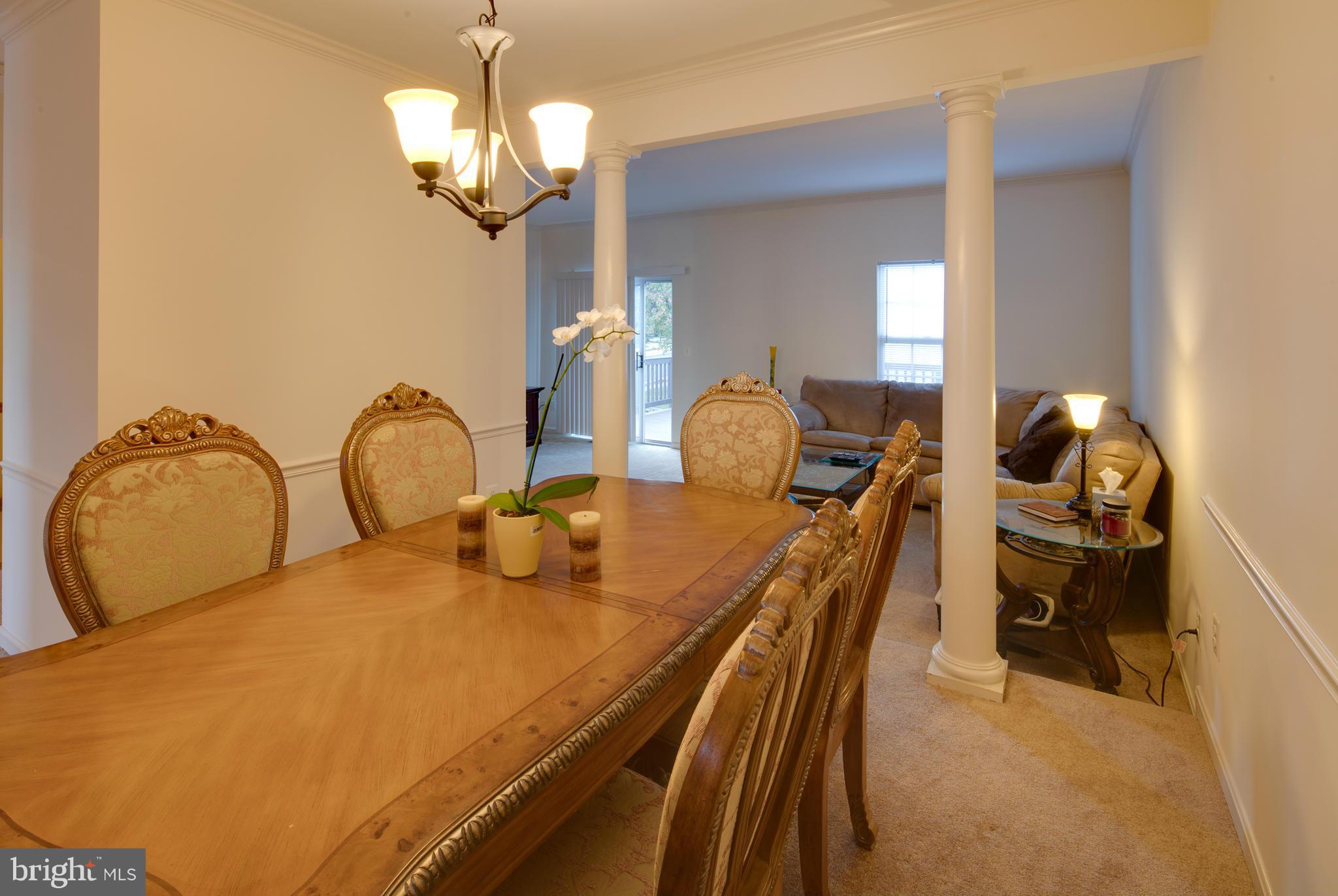 POTOMAC STATION - Residential