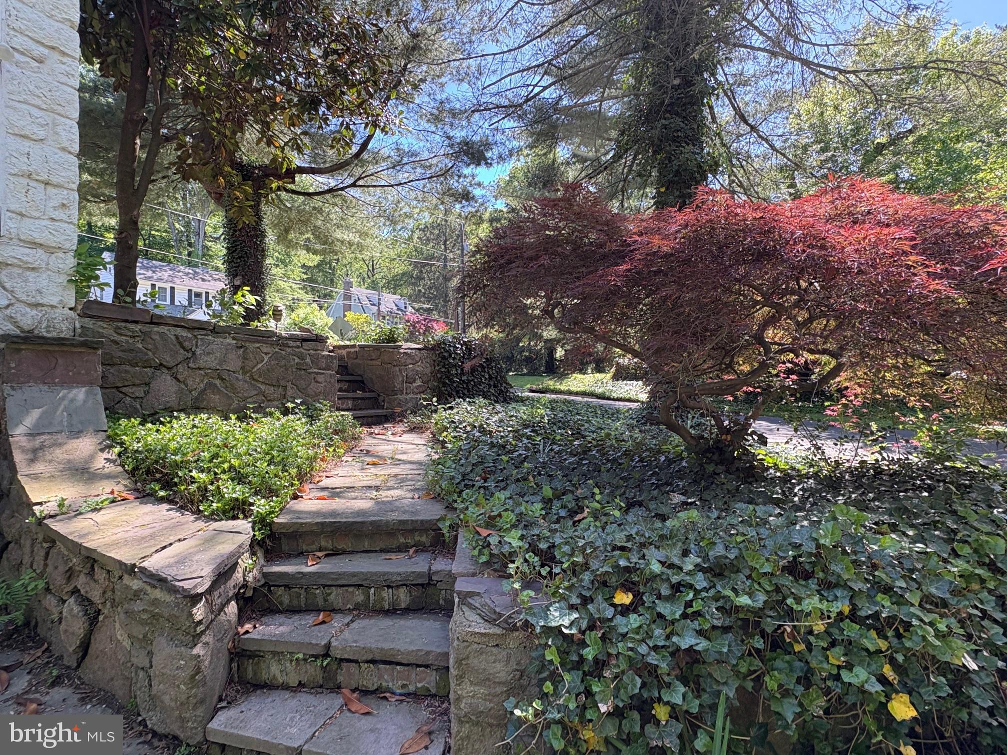 OLD WYNCOTE - Residential