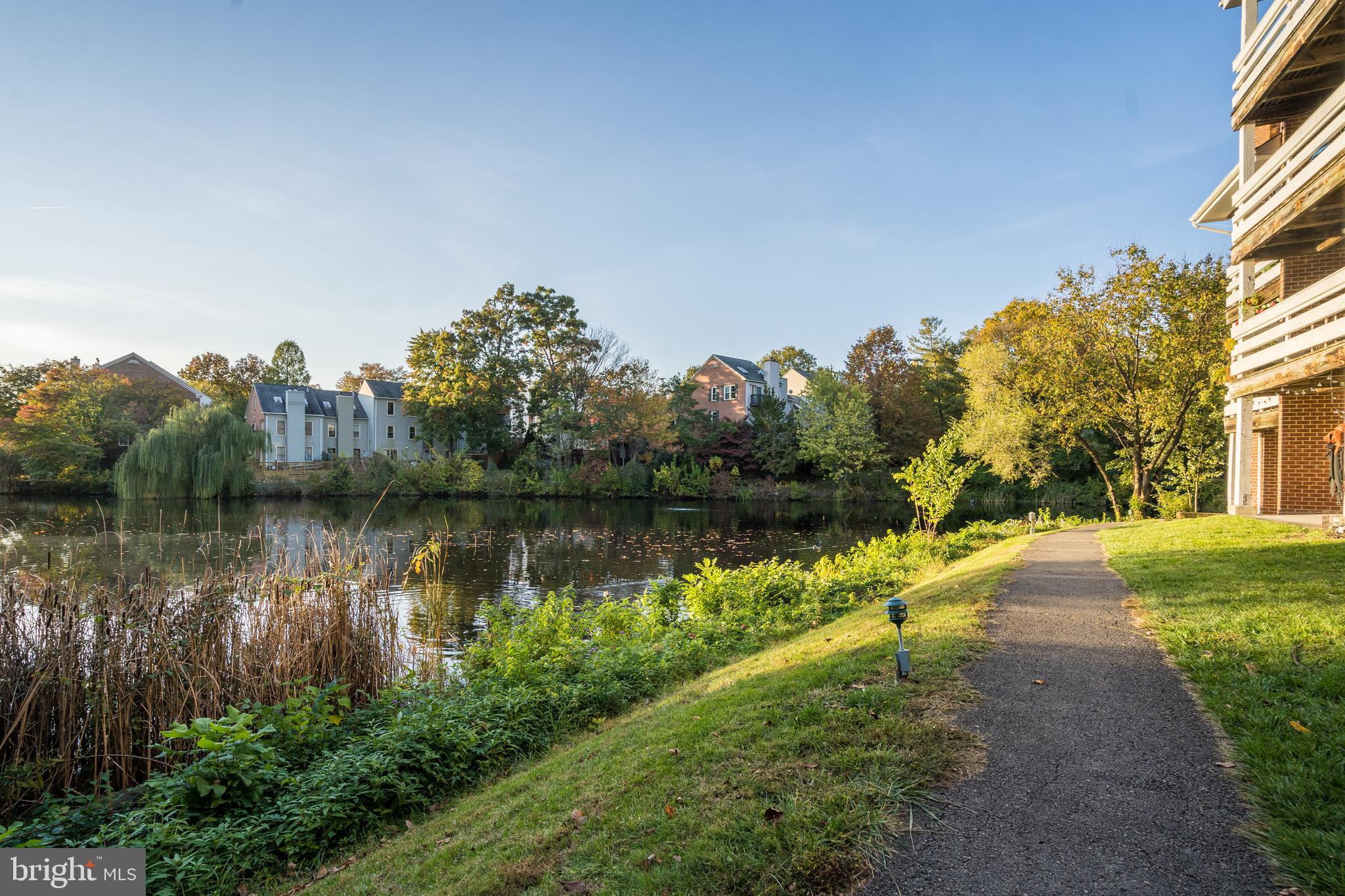 THE COVE - Residential