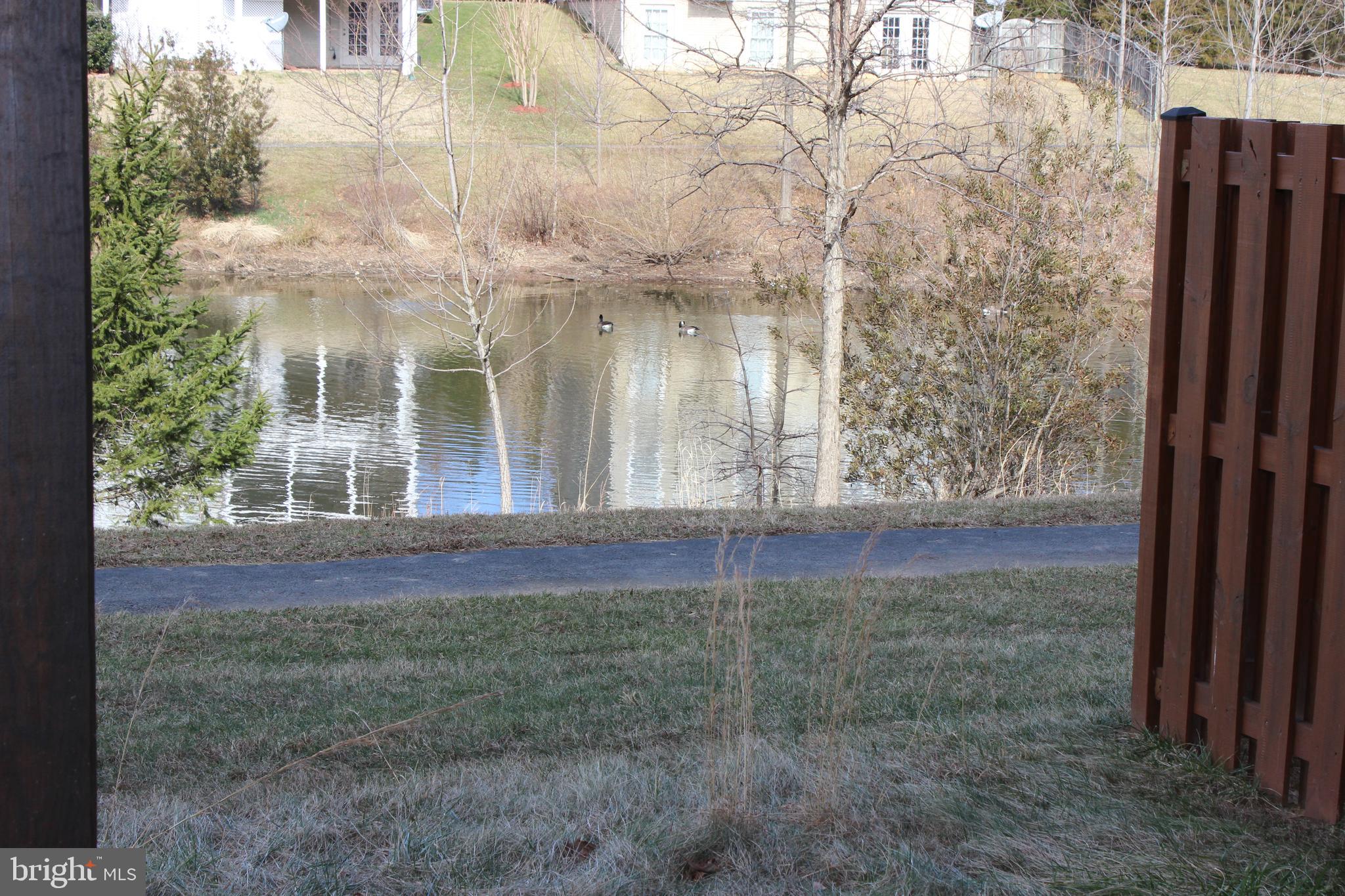 BUCKLEYS RESERVE - Residential Lease