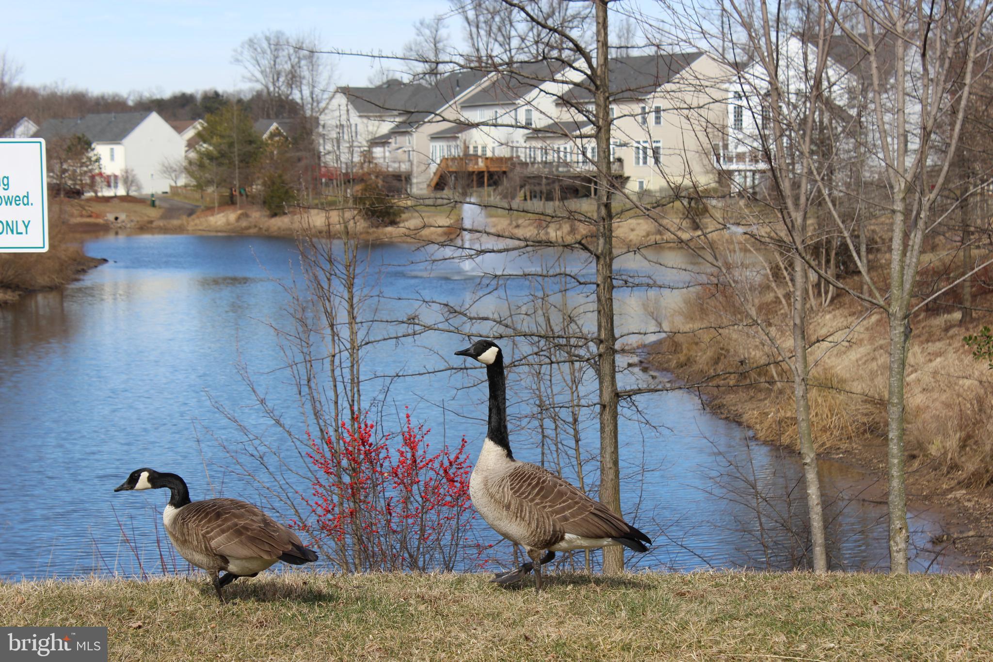 BUCKLEYS RESERVE - Residential Lease