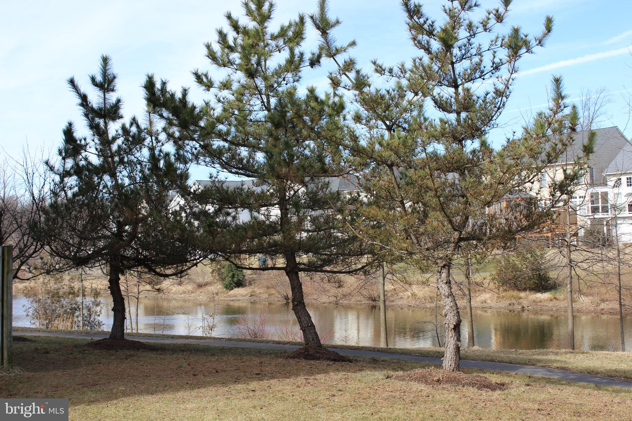 BUCKLEYS RESERVE - Residential Lease