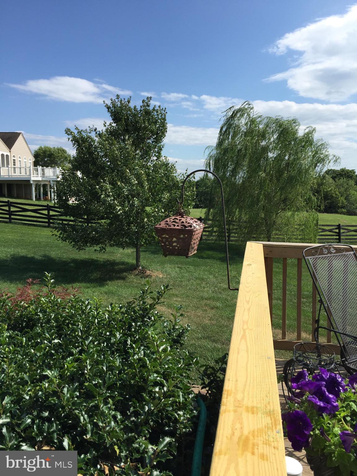 SPRUCE HILL ESTATES - Residential