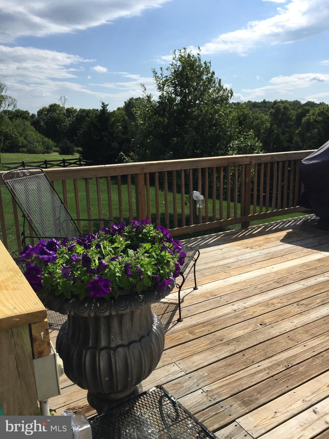 SPRUCE HILL ESTATES - Residential