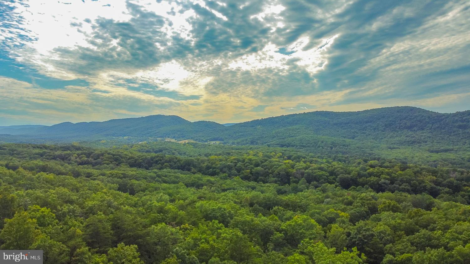 WOODS AT TAYLOR LAKE - Residential