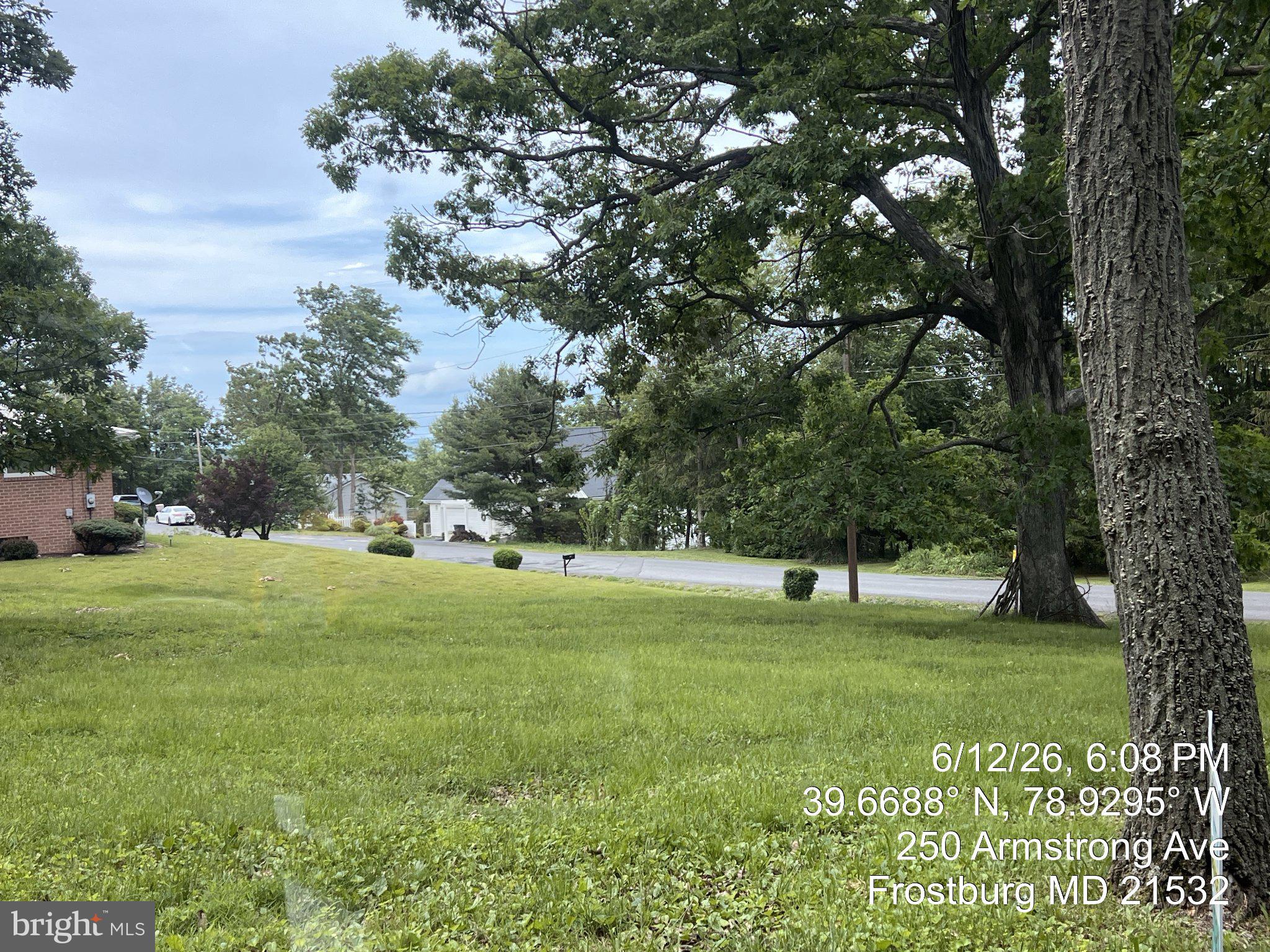 ARMSTRONG AVENUE