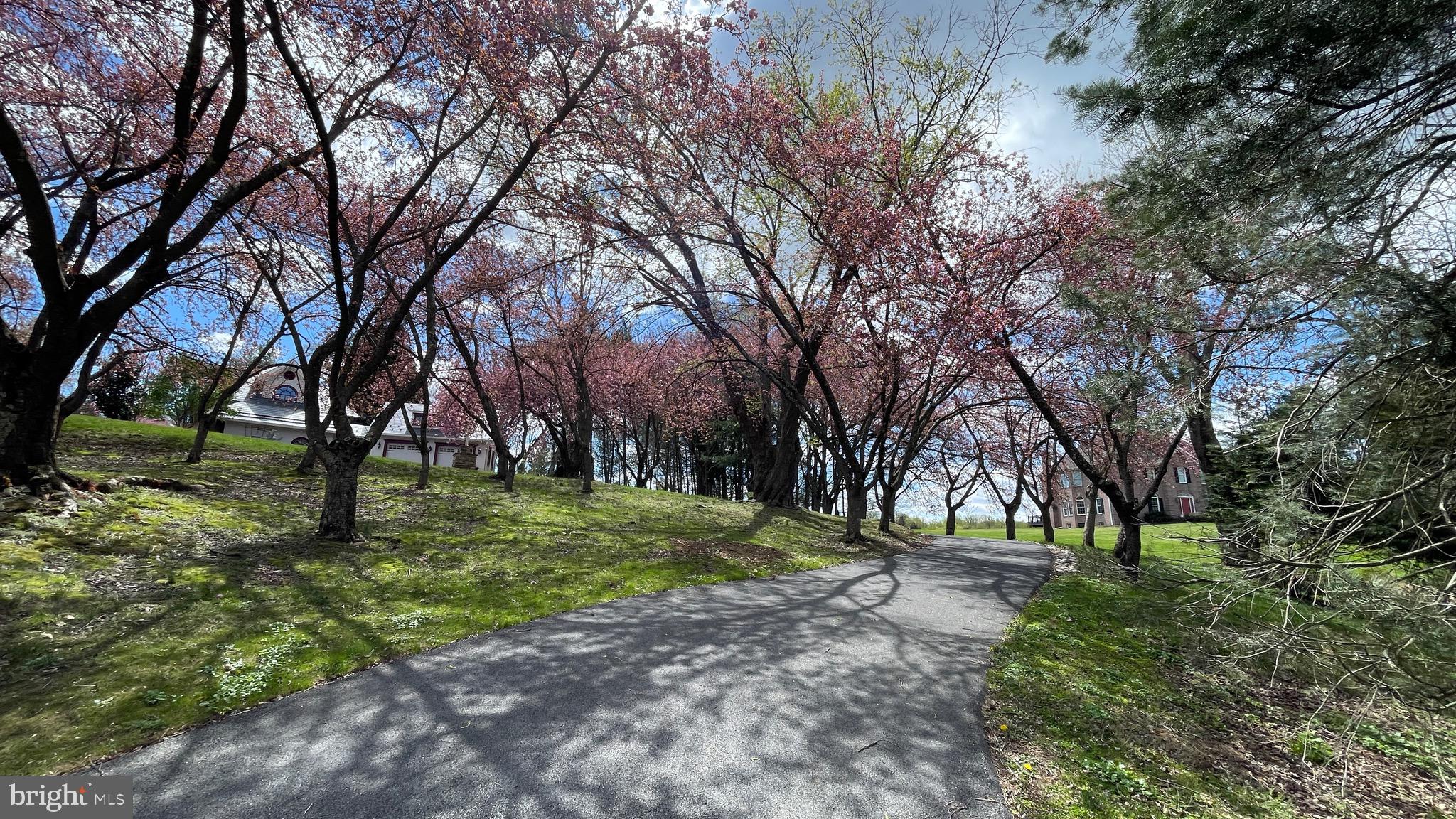 STODDARD - Residential