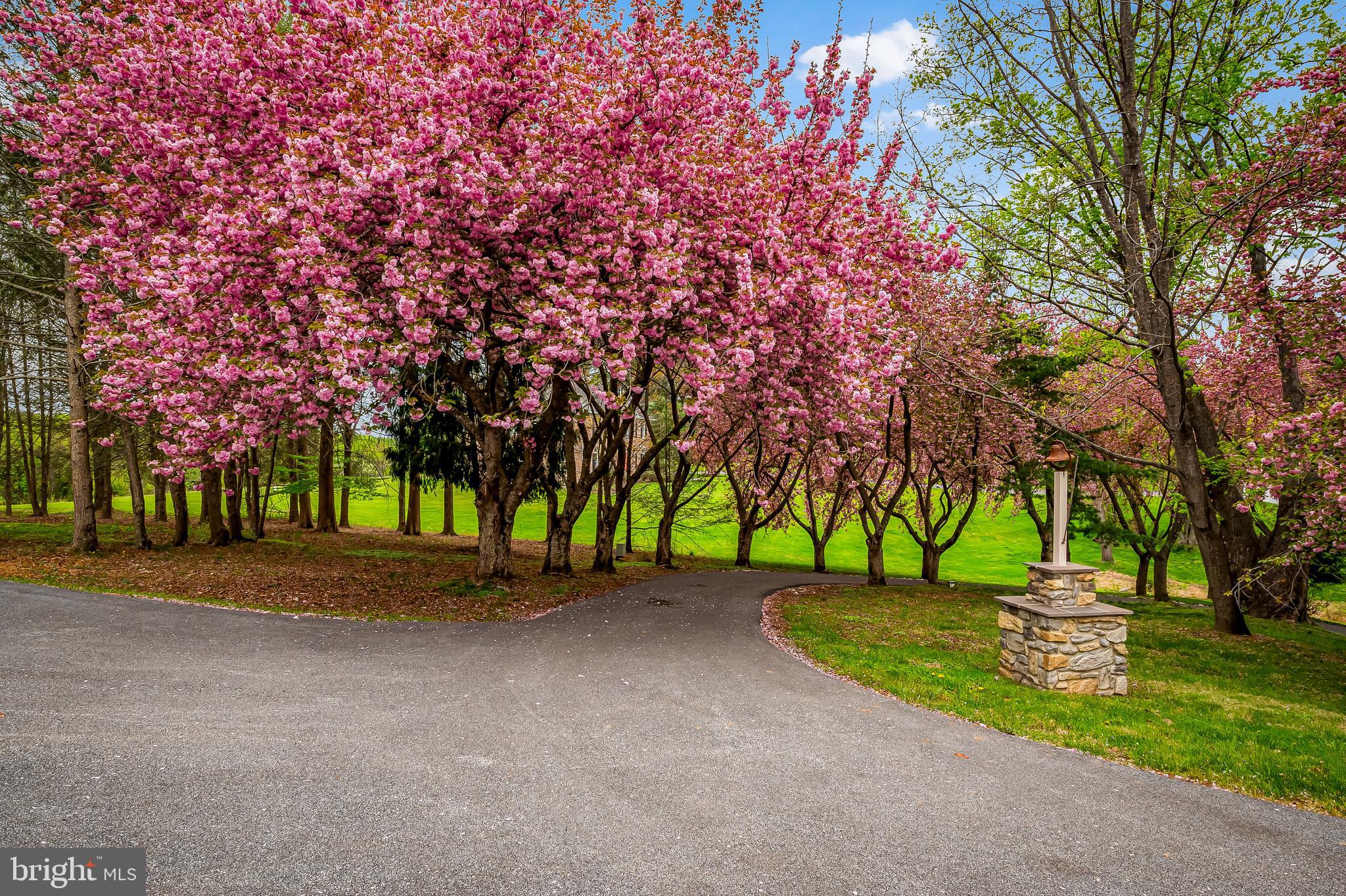STODDARD - Residential