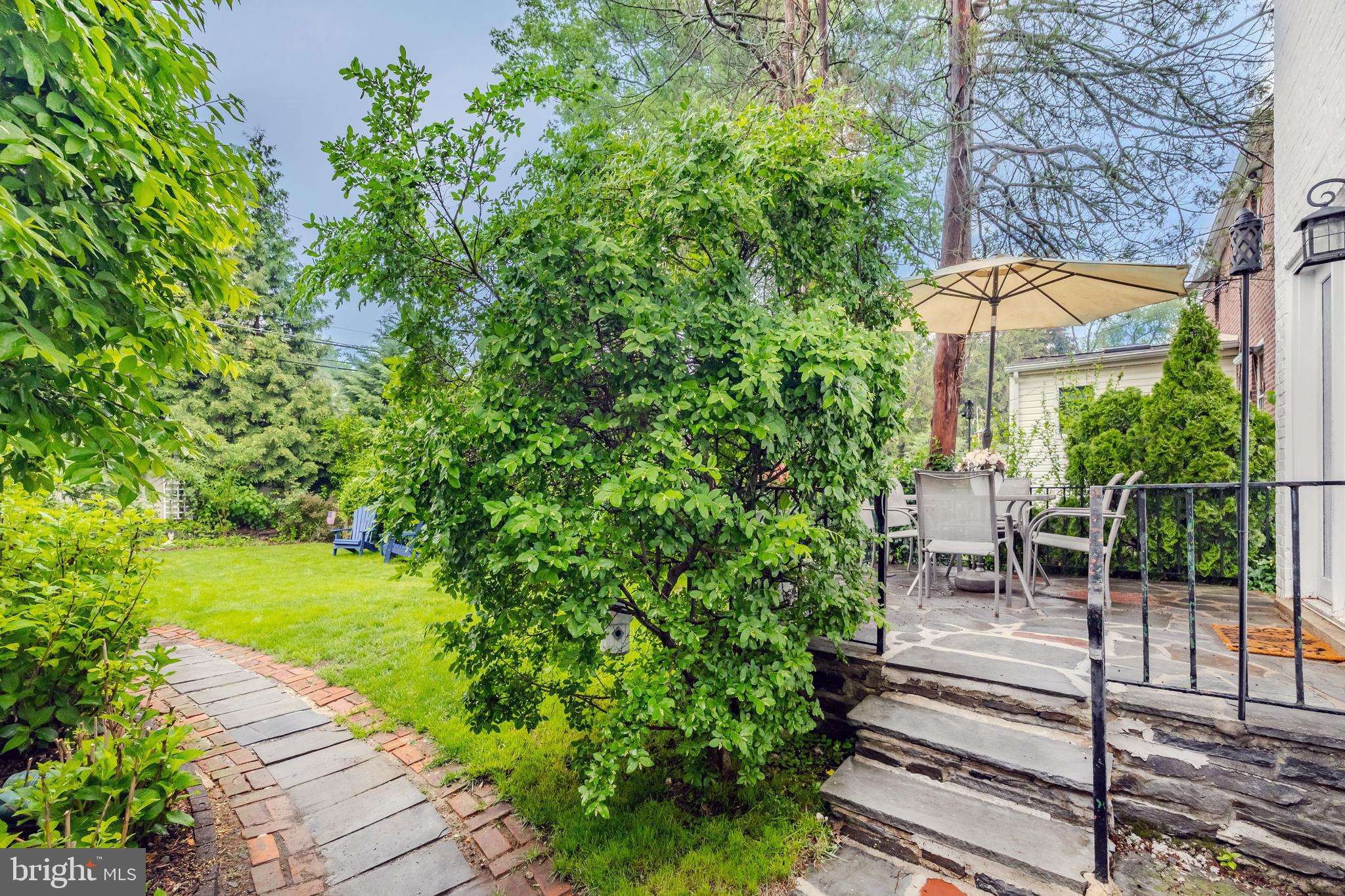 PADDOCK FARMS - Residential