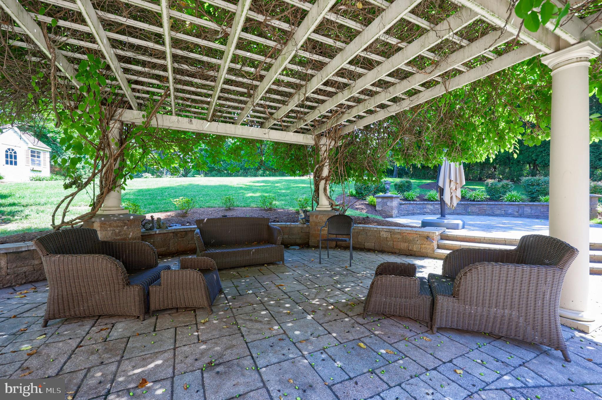 BIRDLAND - Residential