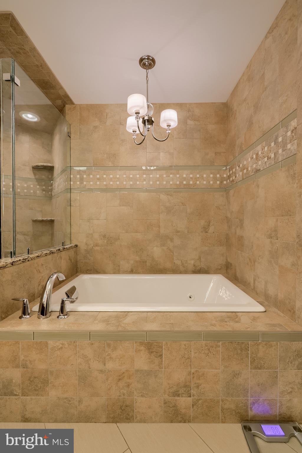 BIRDLAND - Residential