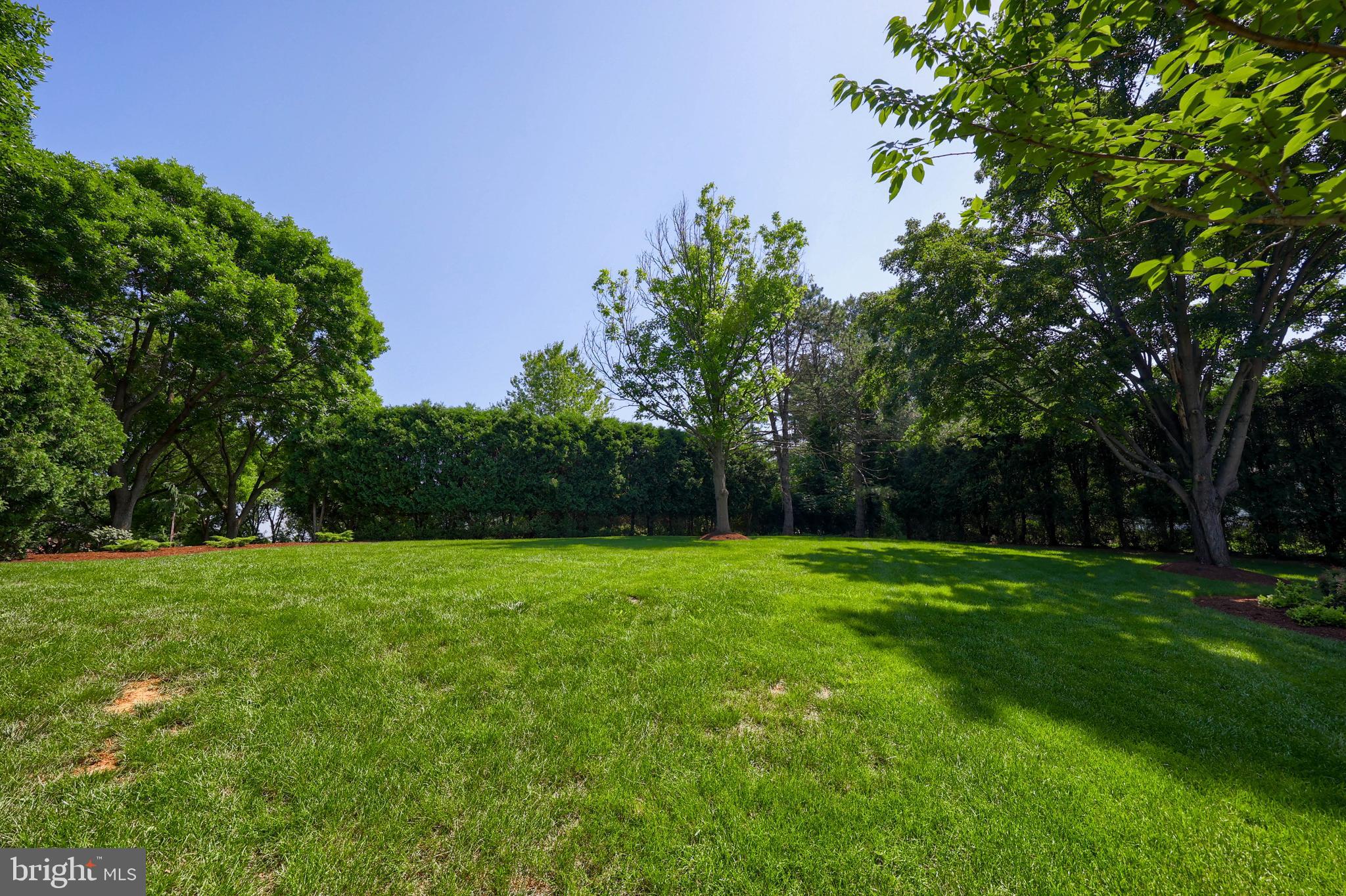 BIRDLAND - Residential