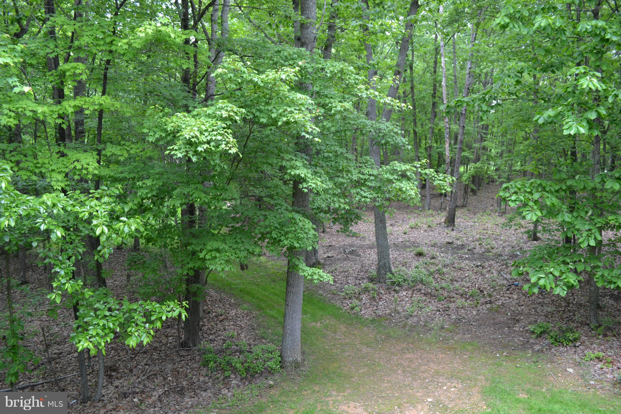 ESTATES OF CHANCELLORSVILLE - Residential