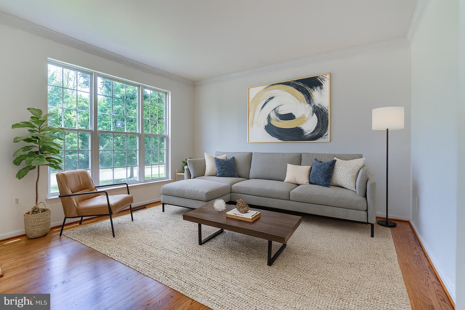 25869 SPRING FARM CIRCLE