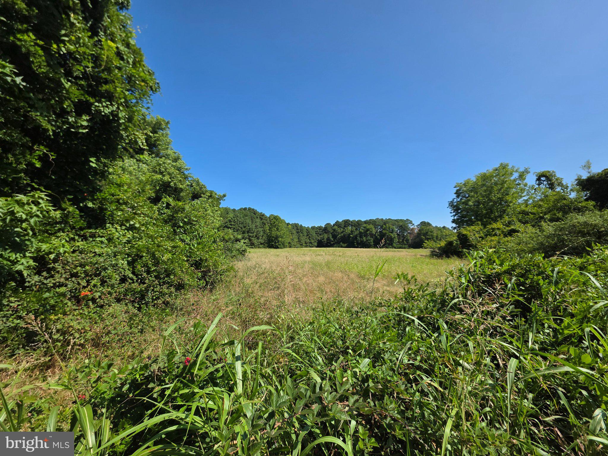 ROLAND PARKS ROAD
