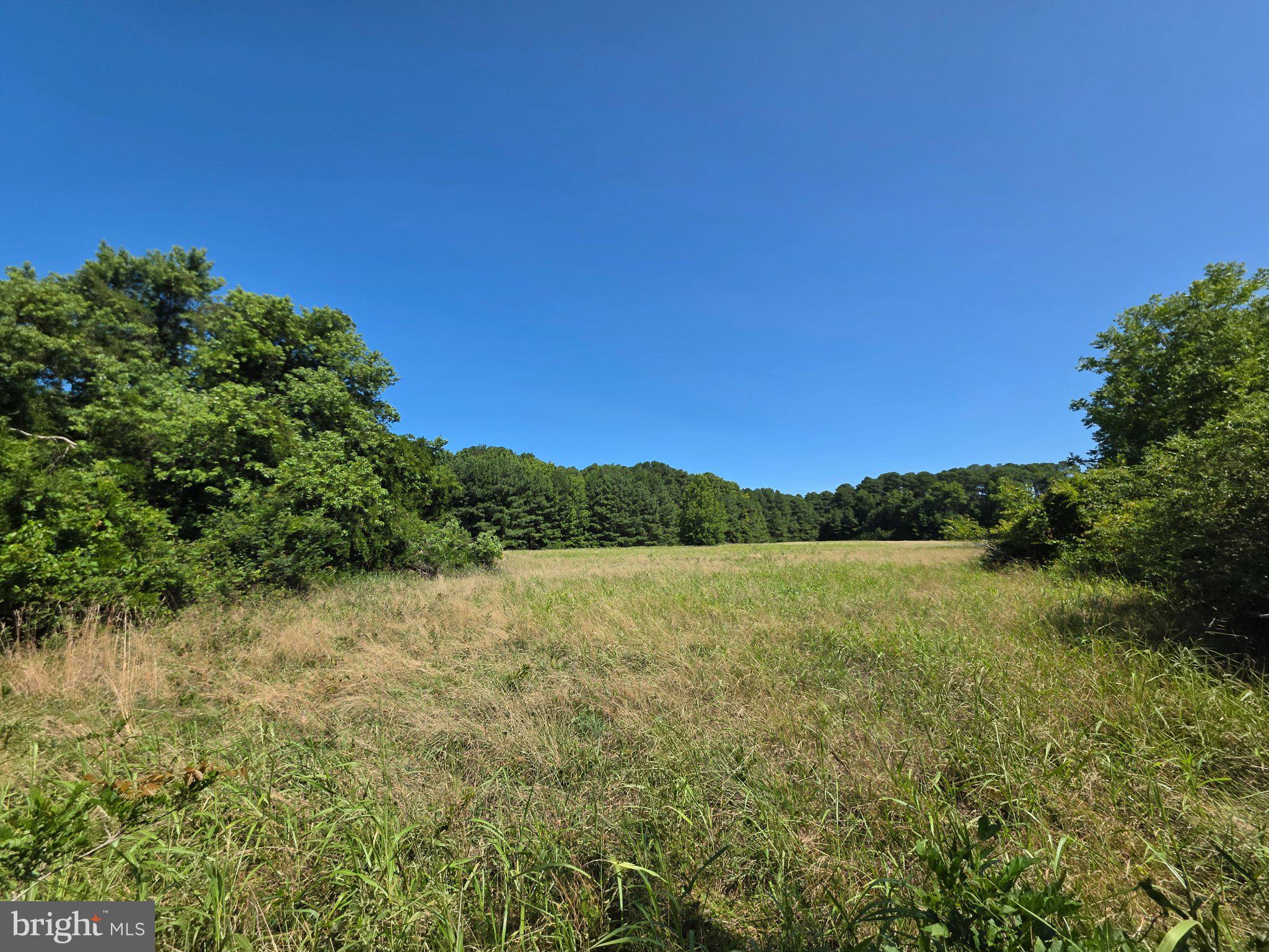 ROLAND PARKS ROAD
