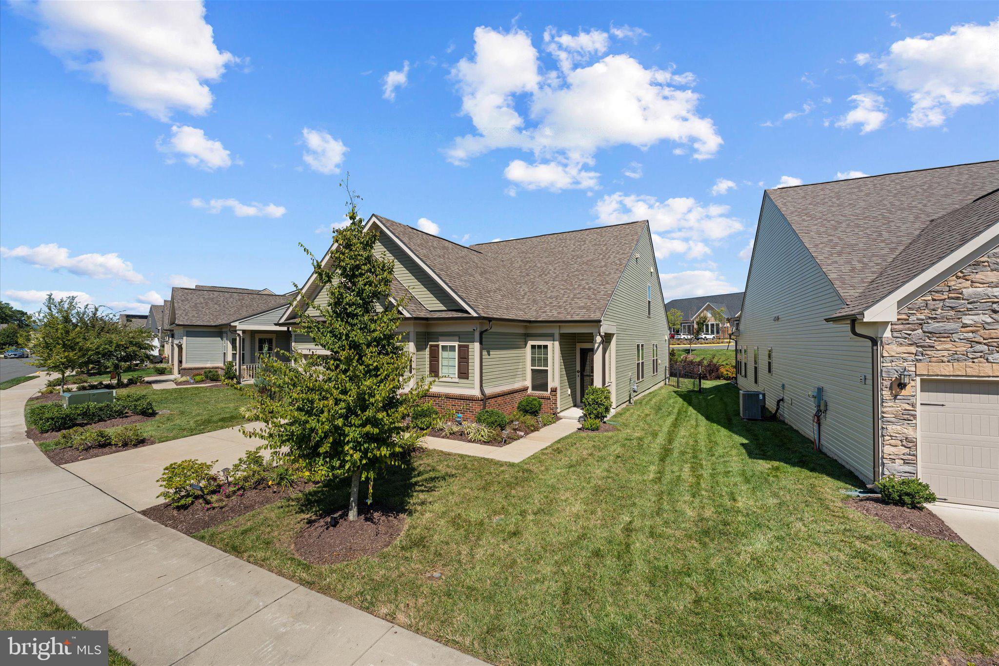 16132 PINK POPPY WAY