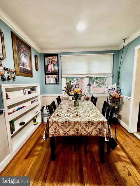 LEWISDALE - Residential