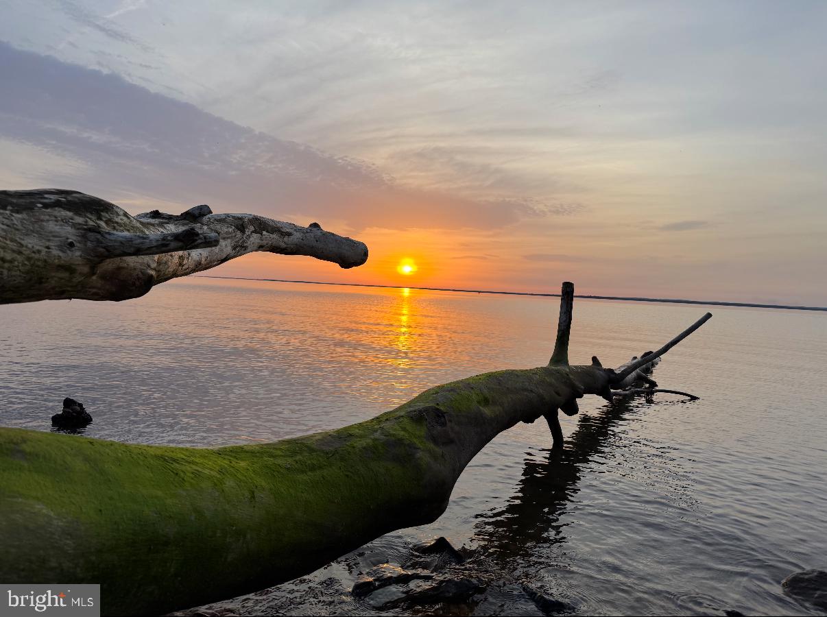 CHESAPEAKE HAVEN - Land